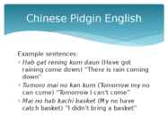 Pidgins-creoles and Standard English-English in South-East Asia and the Pacific #5