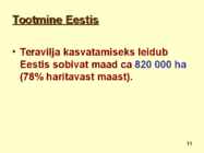 TERAVILI #11
