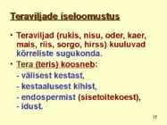 TERAVILI #17