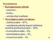 TERAVILI #45