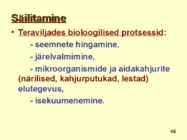 TERAVILI #46