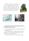 Minu Tokyo-kokkuvõte geograafilise nurga alt #5