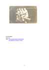 GEORG LURICH #7