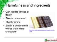 The effect of chocolate on dogs #3