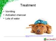 The effect of chocolate on dogs #5