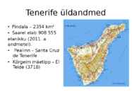 Tenerife #2