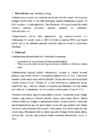 Raviturism #4