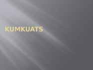 Kumkuats