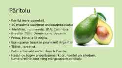 Avokaado #2