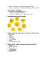 Sissejuhatus infoteadustesse - eksami kordamisküsimused #2