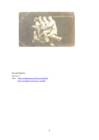 Georg Lurich #7