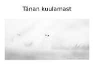 Rabapüü arvukuse uuring #13