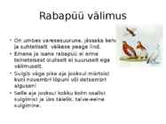 Rabapüü arvukuse uuring #3