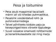 Rabapüü arvukuse uuring #5