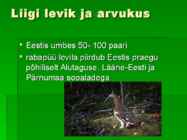 Rabapüü #4