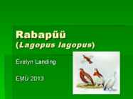 Rabapüü