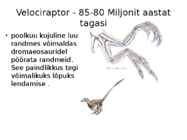 Linnutiiva evolutsioon #6