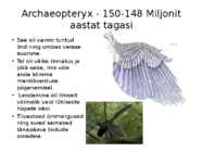 Linnutiiva evolutsioon #8