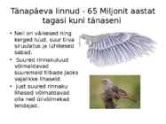 Linnutiiva evolutsioon #10
