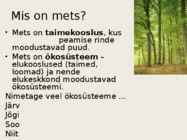 Mets #2