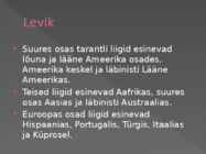 Tarantel #3