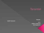 Tarantel