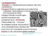 Valkude ülesanded #15