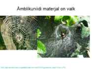 Valkude ülesanded #18