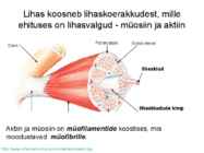 Valkude ülesanded #20