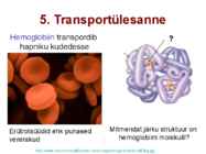 Valkude ülesanded #24