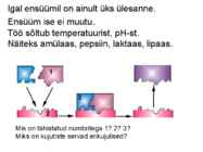 Valkude ülesanded #4