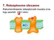 Valkude ülesanded #32