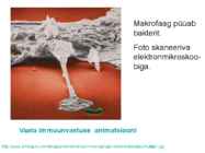 Valkude ülesanded #9