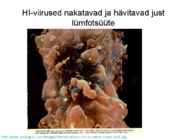 Valkude ülesanded #10