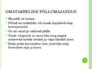 Vietnami põllud #2