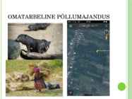 Vietnami põllud #3