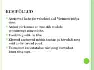 Vietnami põllud #4