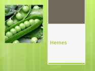 Hernes