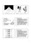Physical hazards konspekt #5