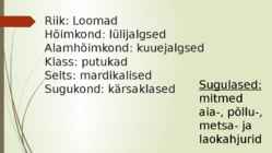 Keerukärsakas esitlus #2