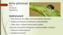 Keerukärsakas esitlus #3