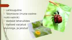 Keerukärsakas esitlus #4