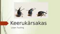 Keerukärsakas esitlus