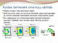 TAIME JA LOOMARAKKUDE EHITUS JA TALITLUS #13