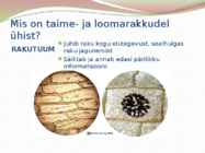 TAIME JA LOOMARAKKUDE EHITUS JA TALITLUS #6