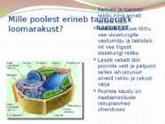 TAIME JA LOOMARAKKUDE EHITUS JA TALITLUS #8