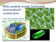 TAIME JA LOOMARAKKUDE EHITUS JA TALITLUS #10