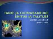 TAIME JA LOOMARAKKUDE EHITUS JA TALITLUS