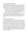 Silmad - referaat #2