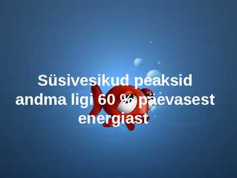 Erinevad süsivesikud #13